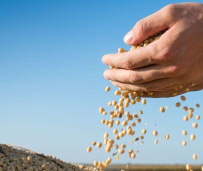 5 Passos para melhor rendimento na pulverização da soja