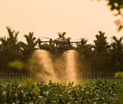 Pulverização por Drone vs. Terrestre no Milho