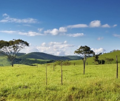 Drone de pulverização: a tecnologia que está transformando a aplicação e a recuperação de pastagens